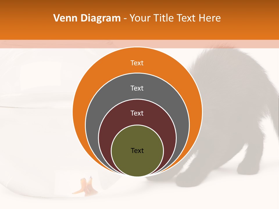 Bowl Feline Mammal PowerPoint Template