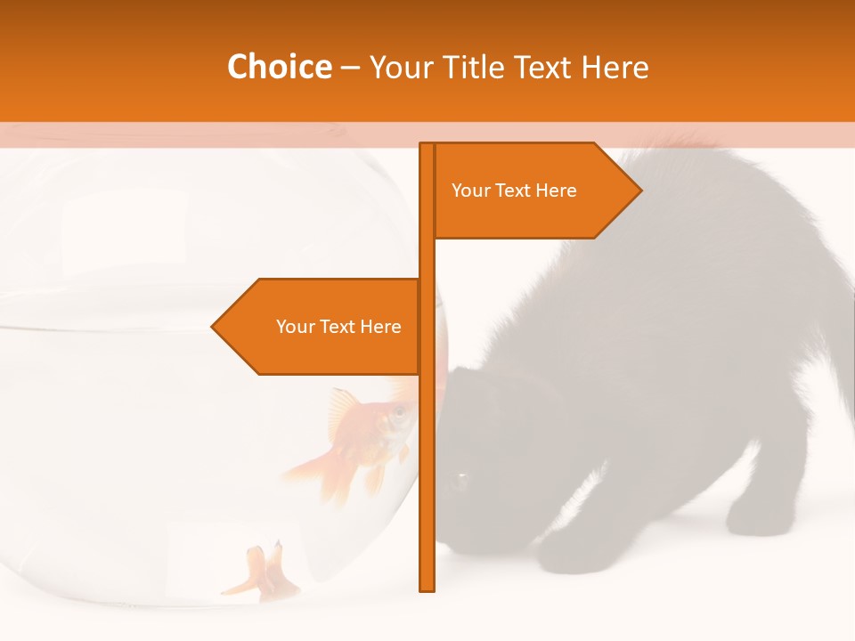 Bowl Feline Mammal PowerPoint Template