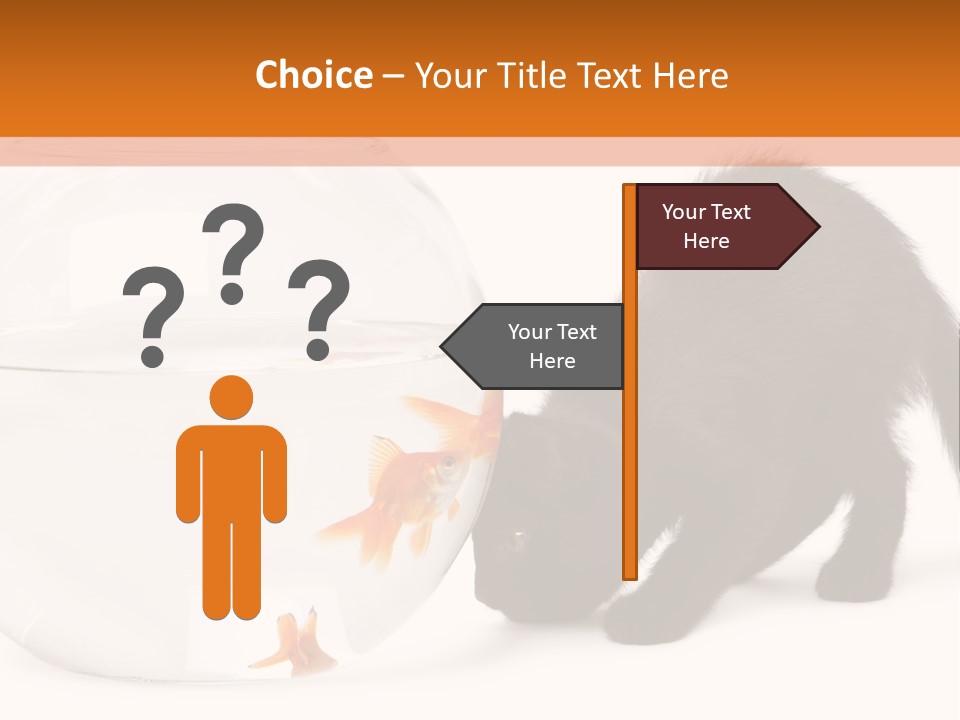 Bowl Feline Mammal PowerPoint Template