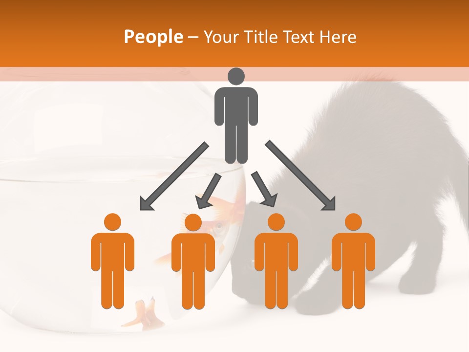 Bowl Feline Mammal PowerPoint Template