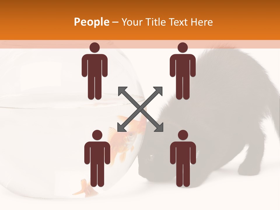 Bowl Feline Mammal PowerPoint Template