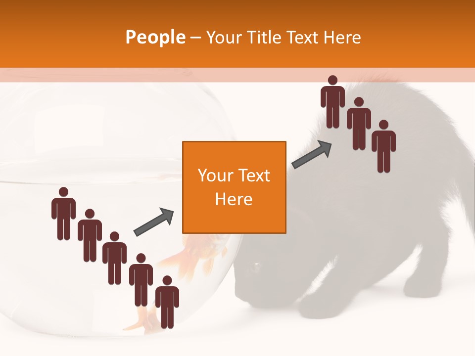 Bowl Feline Mammal PowerPoint Template