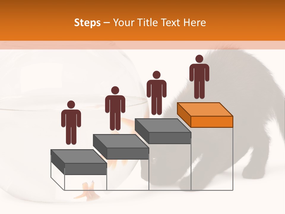 Bowl Feline Mammal PowerPoint Template