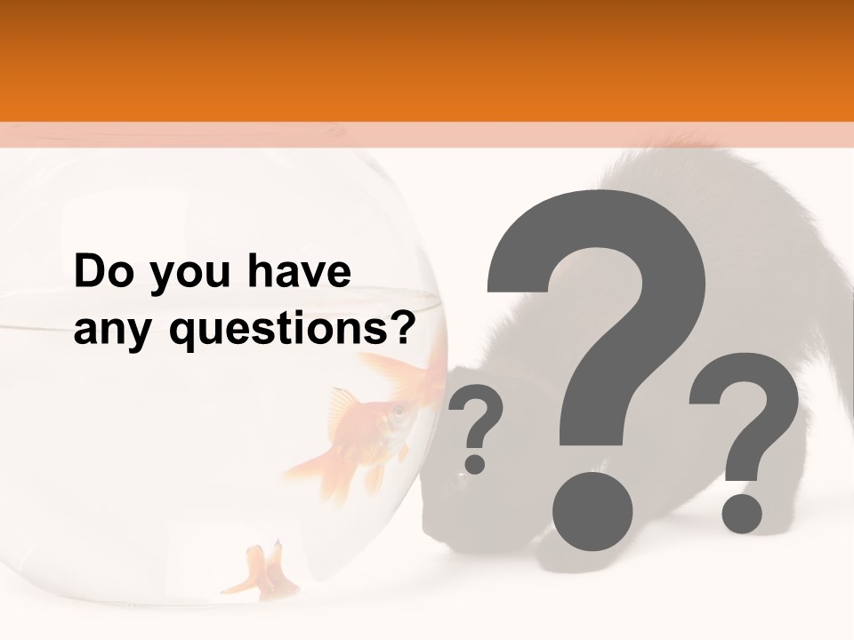 Bowl Feline Mammal PowerPoint Template