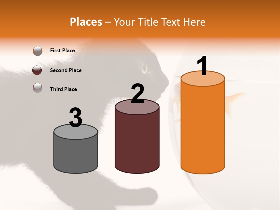 Animal Cat Attentive PowerPoint Template