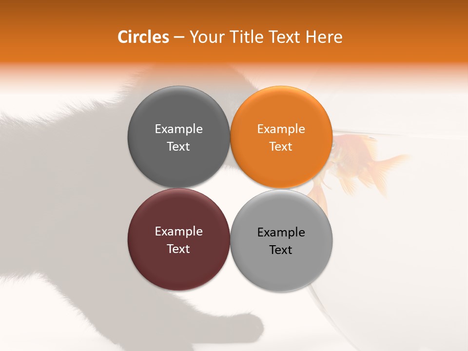 Animal Cat Attentive PowerPoint Template