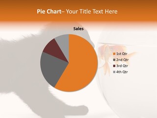 Animal Cat Attentive PowerPoint Template