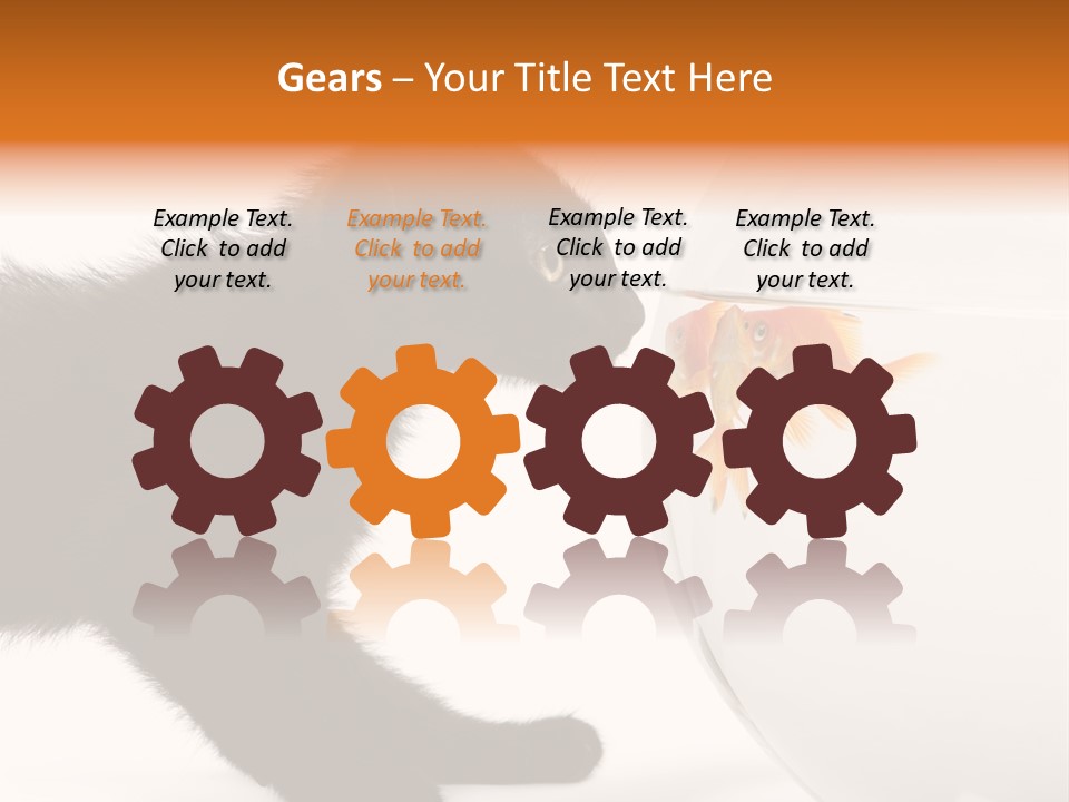 Animal Cat Attentive PowerPoint Template