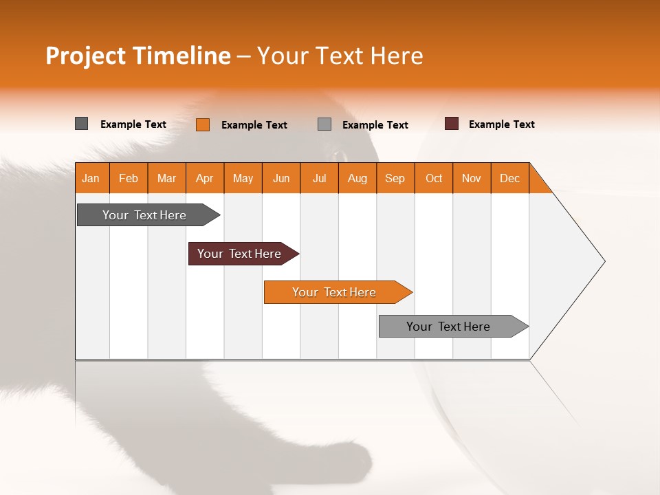 Animal Cat Attentive PowerPoint Template