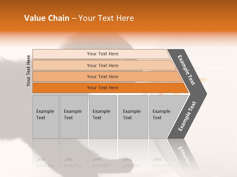 Animal Cat Attentive PowerPoint Template