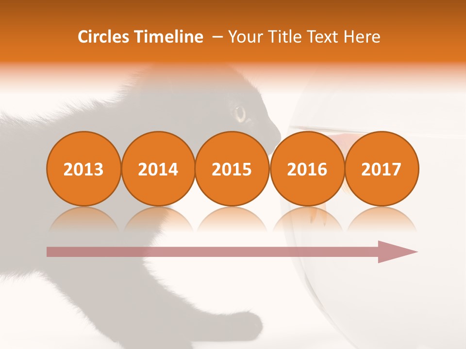 Animal Cat Attentive PowerPoint Template