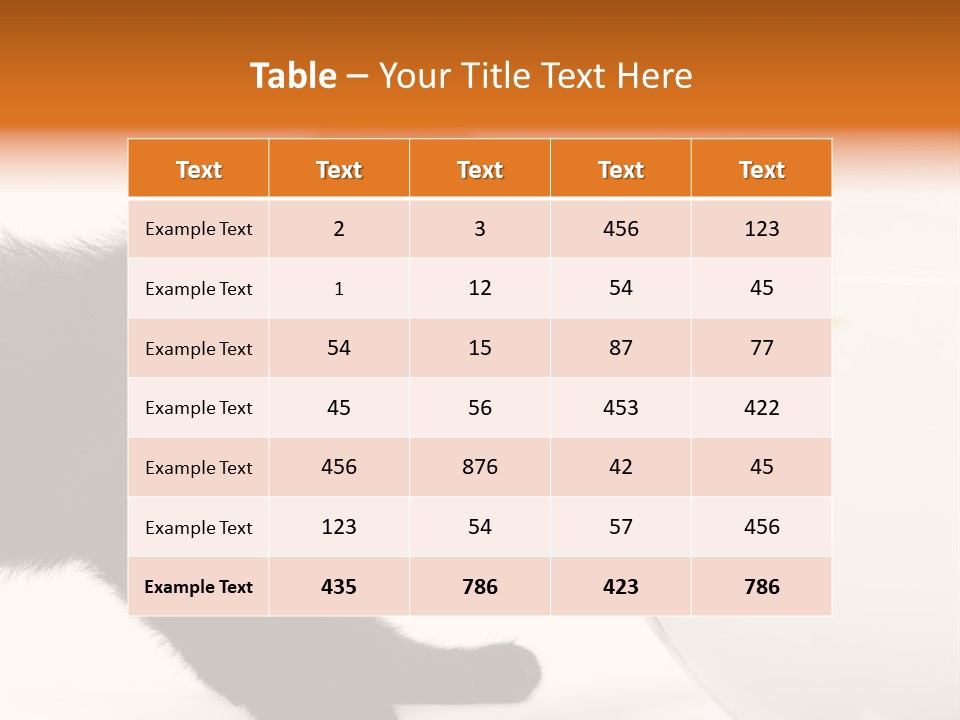 Animal Cat Attentive PowerPoint Template