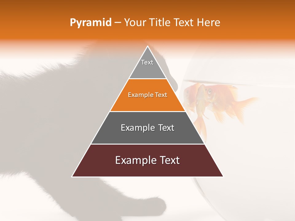 Animal Cat Attentive PowerPoint Template