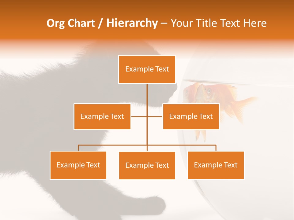 Animal Cat Attentive PowerPoint Template