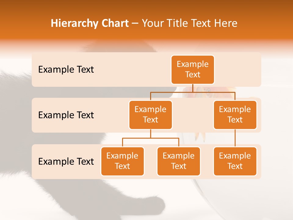 Animal Cat Attentive PowerPoint Template