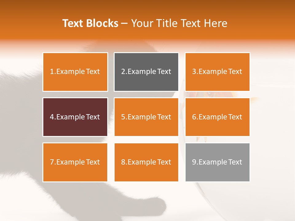 Animal Cat Attentive PowerPoint Template