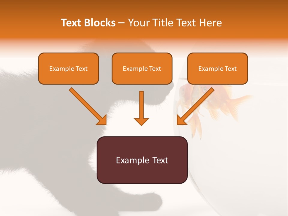 Animal Cat Attentive PowerPoint Template