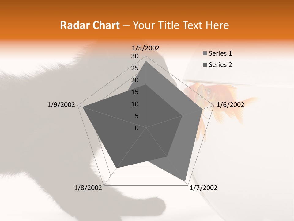 Animal Cat Attentive PowerPoint Template