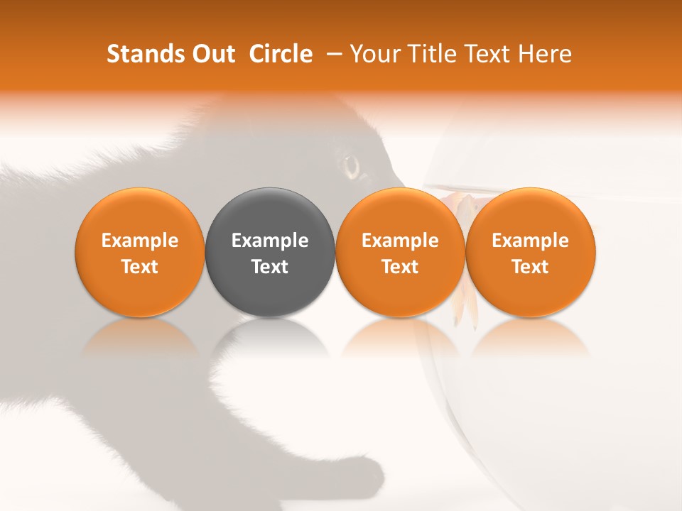 Animal Cat Attentive PowerPoint Template