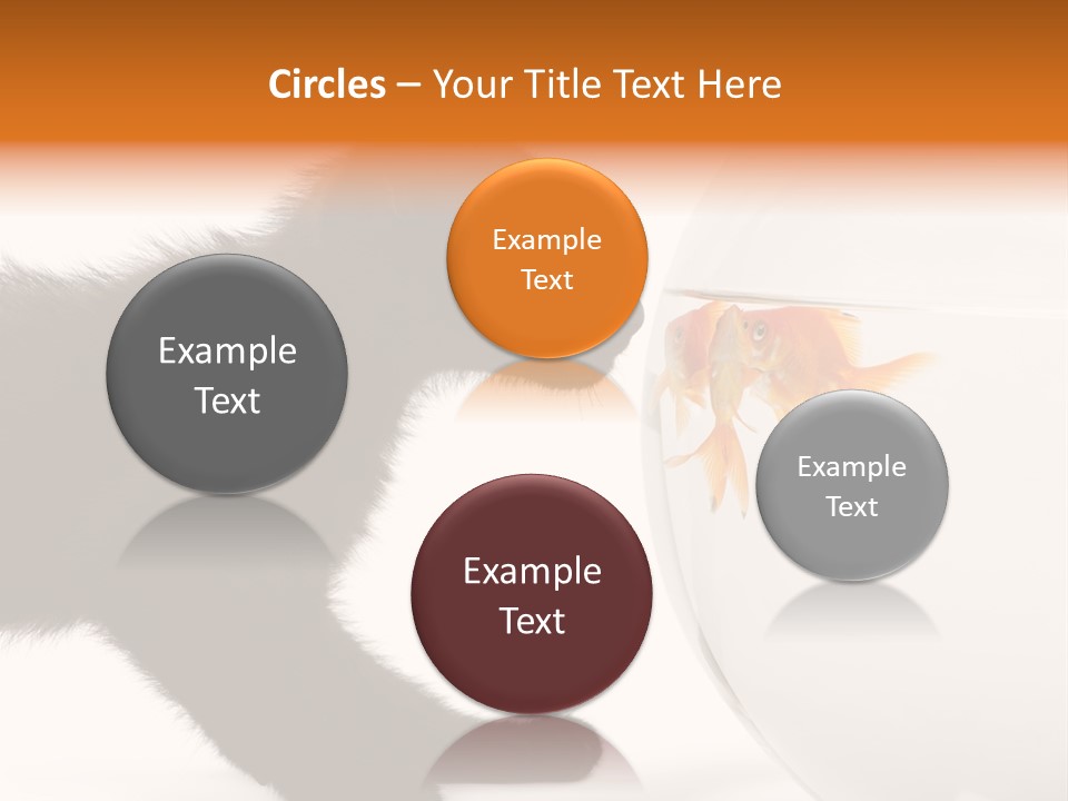 Animal Cat Attentive PowerPoint Template