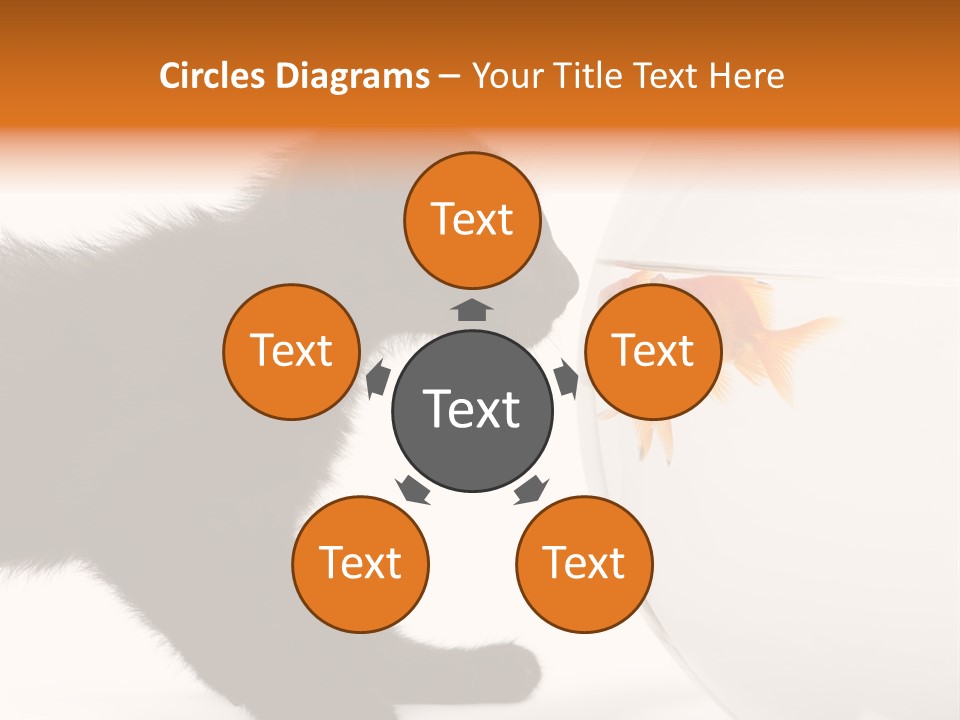 Animal Cat Attentive PowerPoint Template