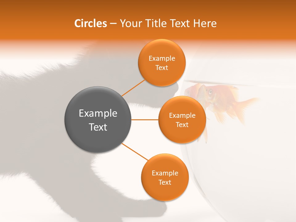 Animal Cat Attentive PowerPoint Template