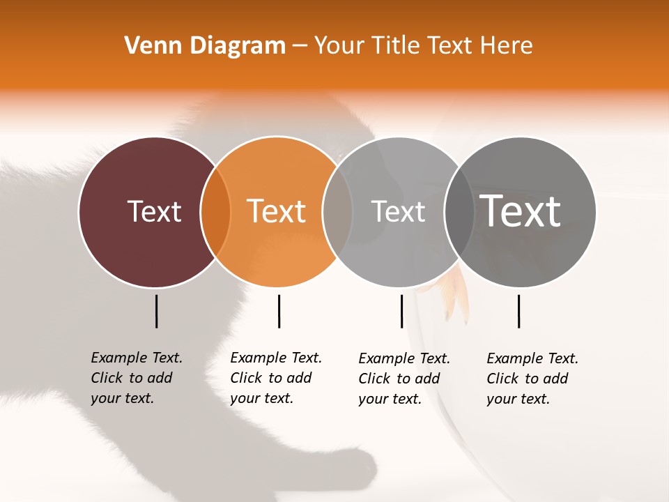 Animal Cat Attentive PowerPoint Template