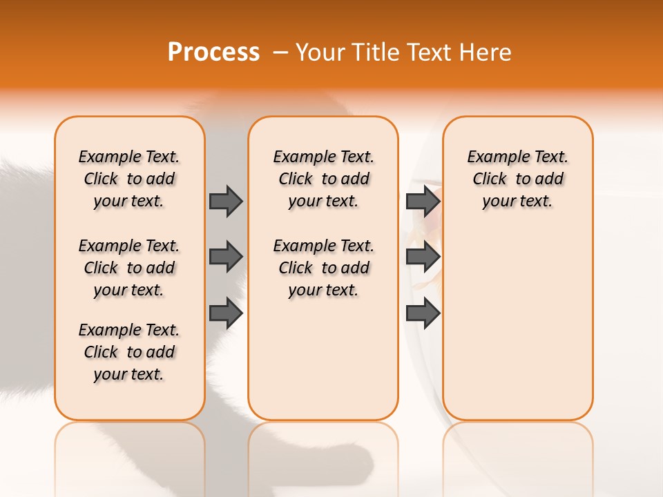 Animal Cat Attentive PowerPoint Template