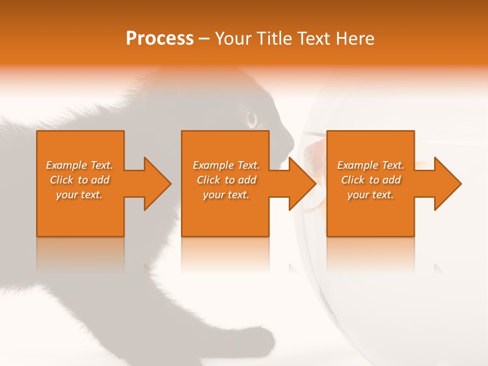 Animal Cat Attentive PowerPoint Template
