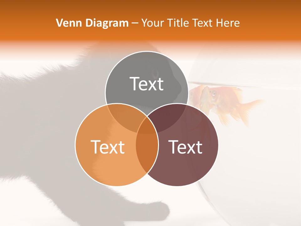 Animal Cat Attentive PowerPoint Template