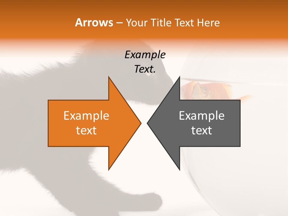 Animal Cat Attentive PowerPoint Template