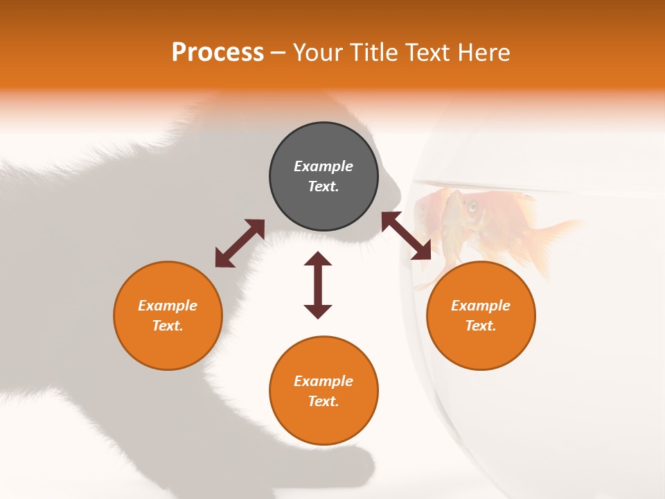 Animal Cat Attentive PowerPoint Template