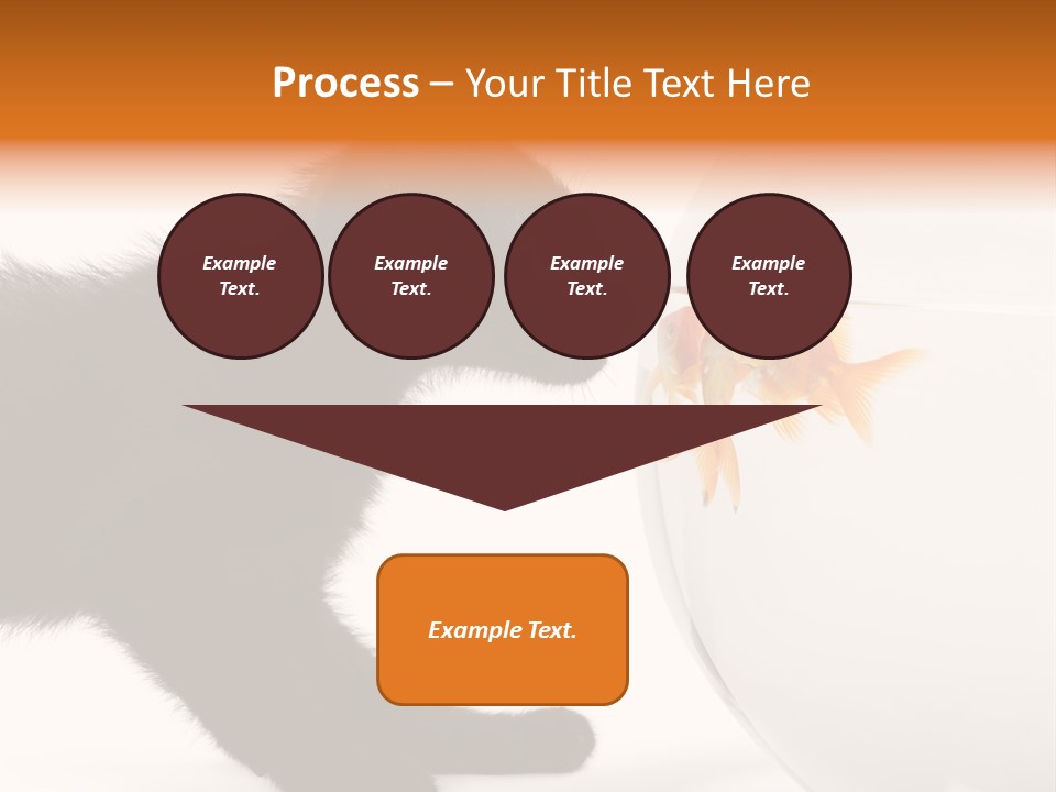 Animal Cat Attentive PowerPoint Template