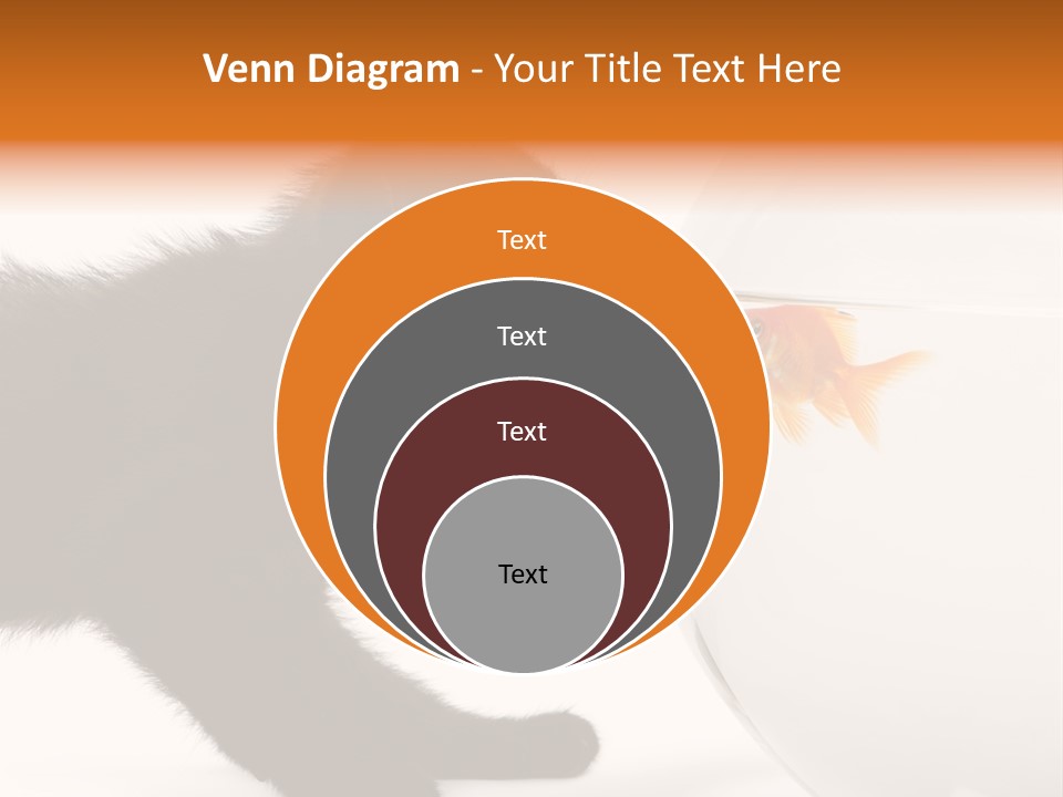 Animal Cat Attentive PowerPoint Template