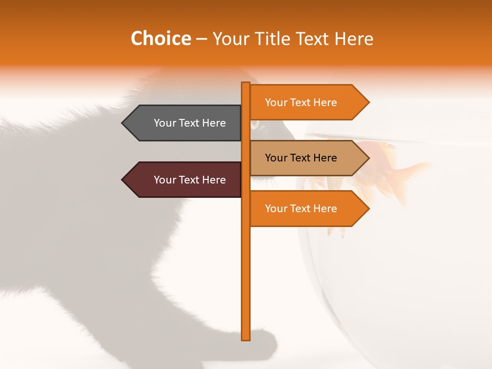 Animal Cat Attentive PowerPoint Template