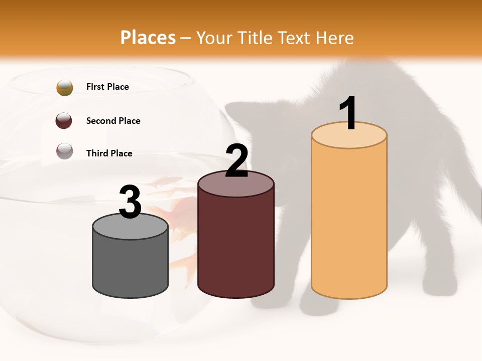 Looking Standing Studio Shot PowerPoint Template