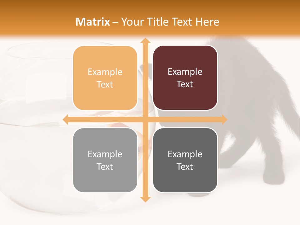 Looking Standing Studio Shot PowerPoint Template