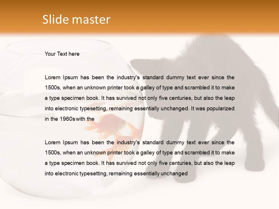 Looking Standing Studio Shot PowerPoint Template