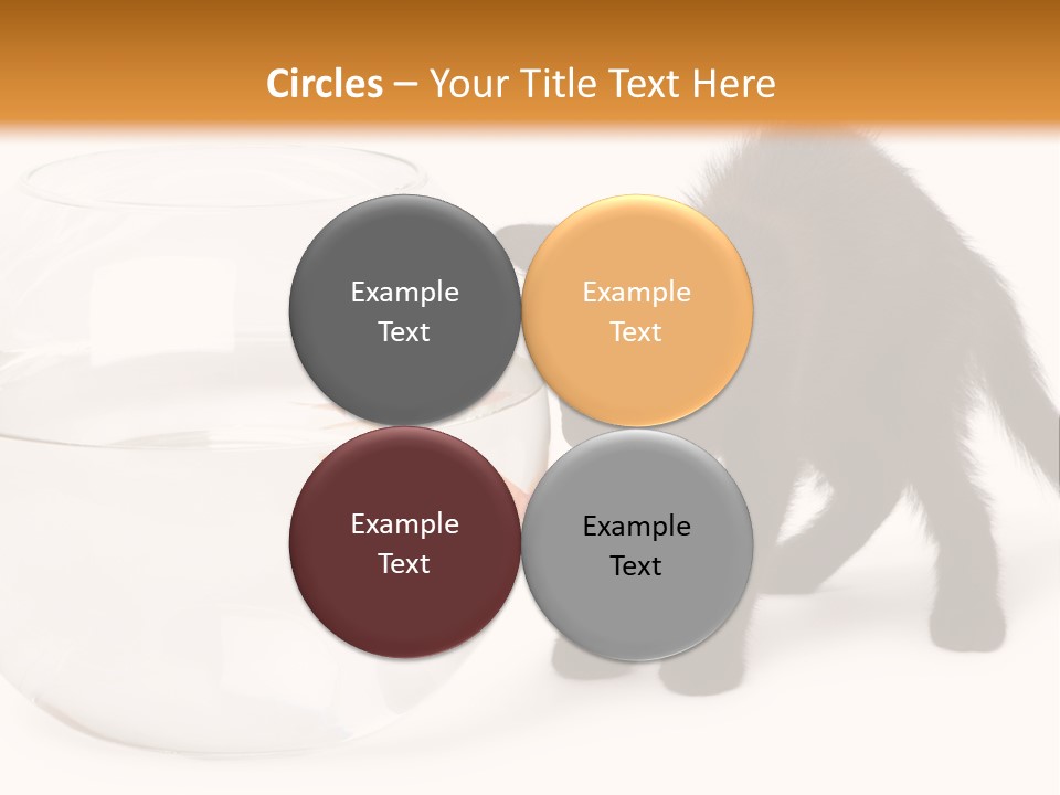 Looking Standing Studio Shot PowerPoint Template