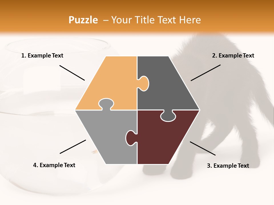 Looking Standing Studio Shot PowerPoint Template