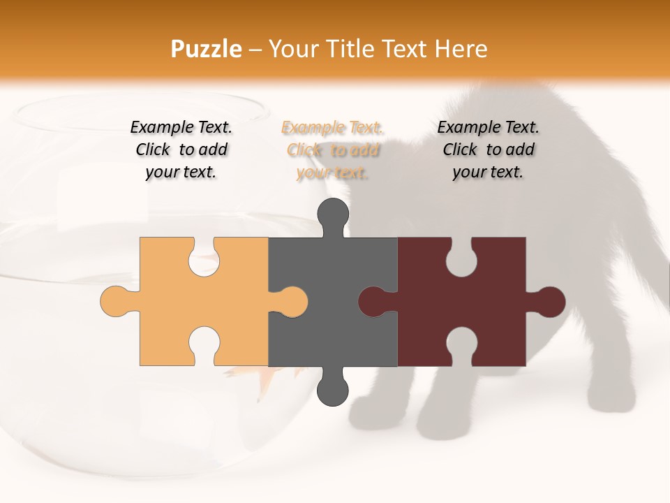 Looking Standing Studio Shot PowerPoint Template