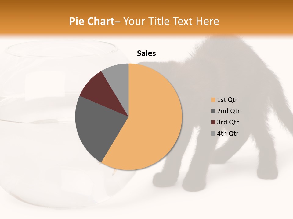 Looking Standing Studio Shot PowerPoint Template