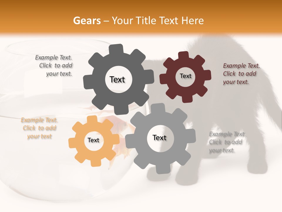 Looking Standing Studio Shot PowerPoint Template