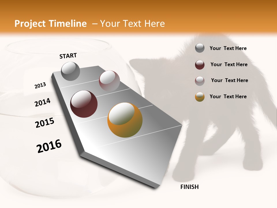 Looking Standing Studio Shot PowerPoint Template
