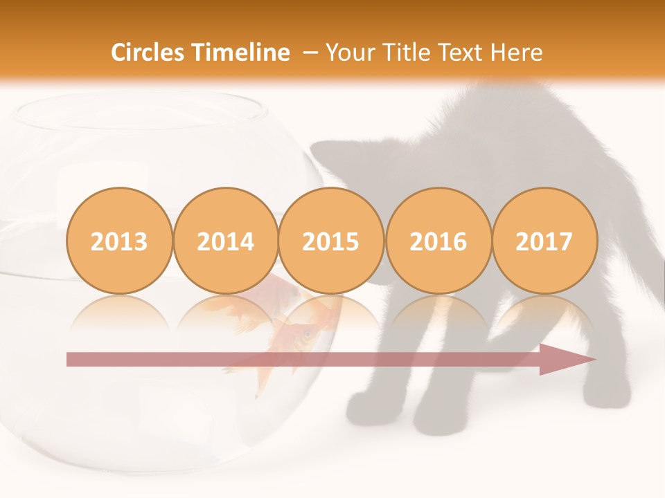 Looking Standing Studio Shot PowerPoint Template