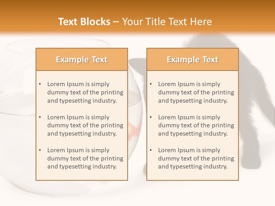 Looking Standing Studio Shot PowerPoint Template