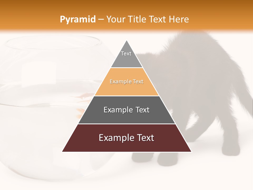 Looking Standing Studio Shot PowerPoint Template