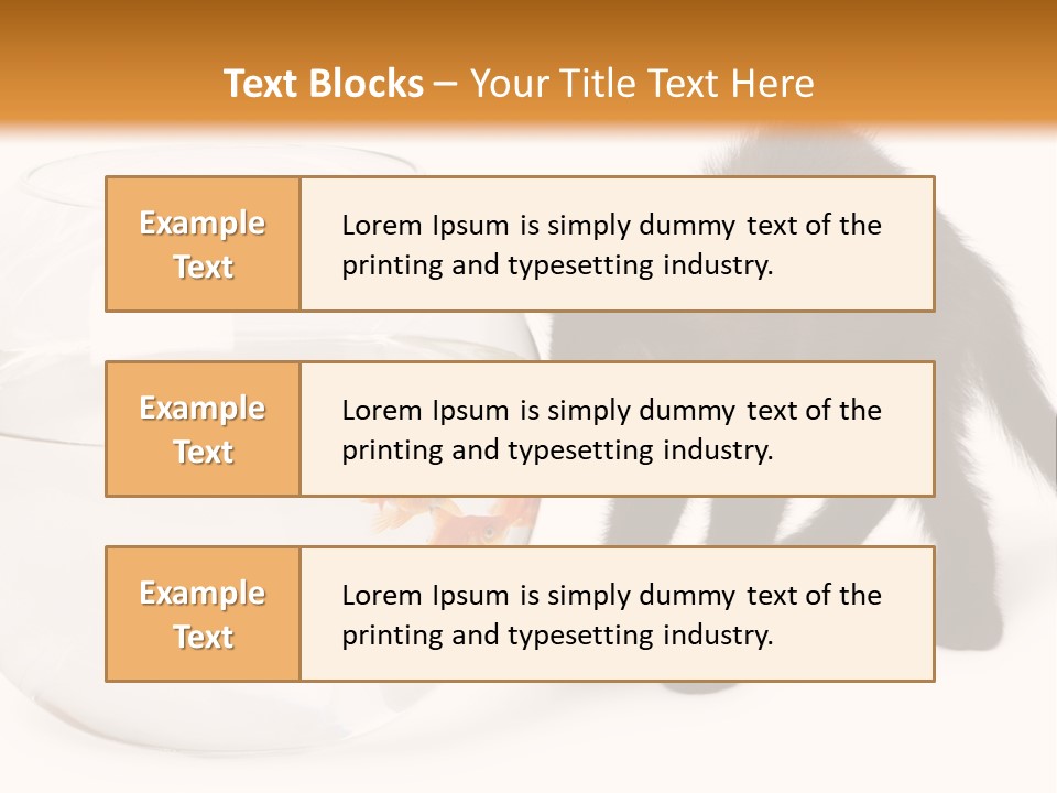 Looking Standing Studio Shot PowerPoint Template