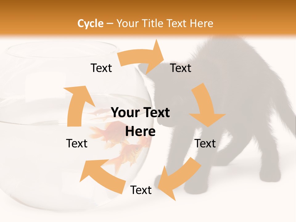 Looking Standing Studio Shot PowerPoint Template