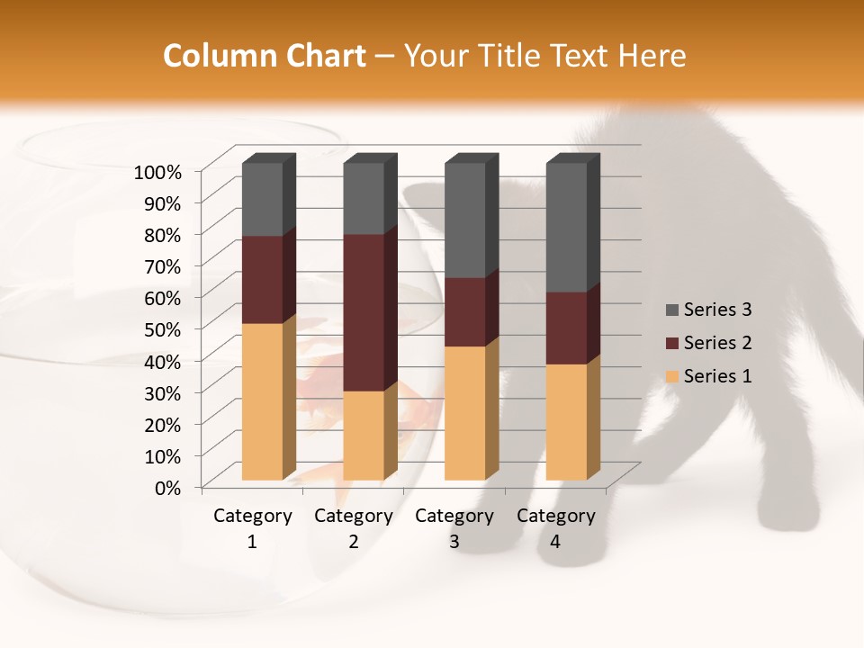Looking Standing Studio Shot PowerPoint Template